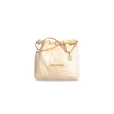 CHANEL 22 HANDBAG AS3261 B10686 NN491 (42*36*8cm)